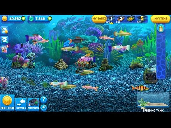 Big fish games free download full version for mac